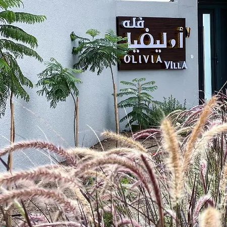 Olivia Chalet فلة أوليفيا Al 'Aqar Exterior photo